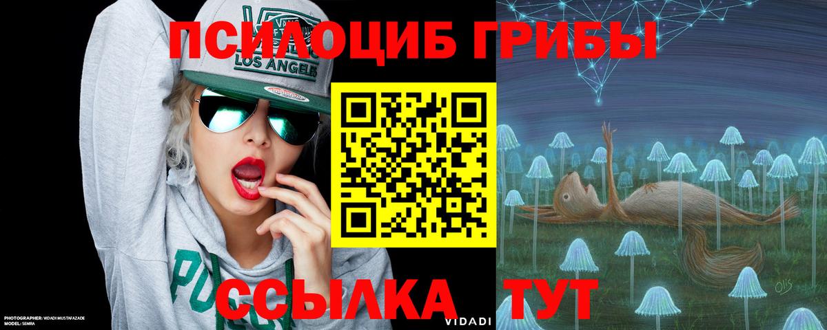 Казань  Псилоцибиновые грибы прущие грибы  Галлюциногенные грибы Magic Shrooms  Вход с VPN 